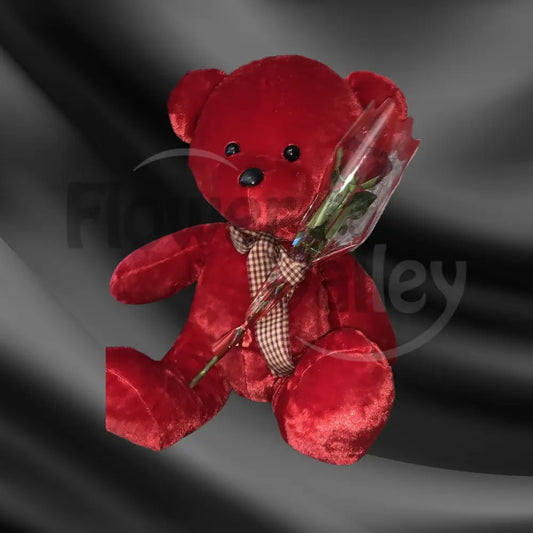 Crimson Cuddle Valentine Duo
