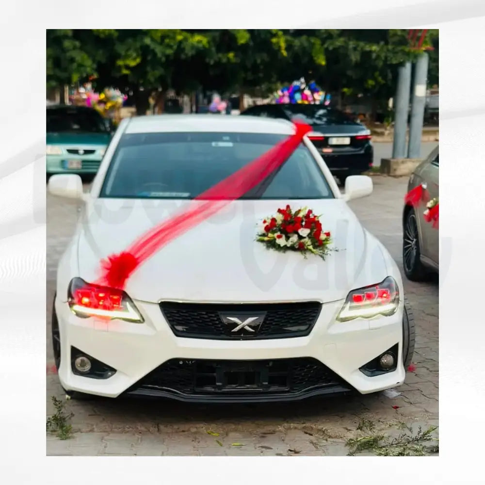Minimalist Crimson Ribbon & Floral Bouquet | Sleek Wedding Car Decor
