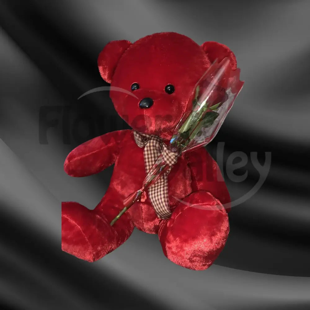 Crimson Cuddle Valentine Duo